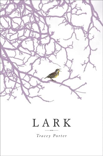 Tapa de Lark