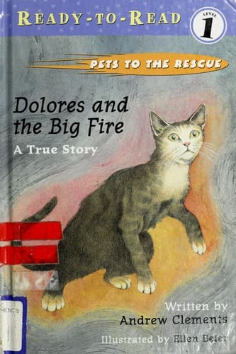 Tapa de Dolores and the big fire