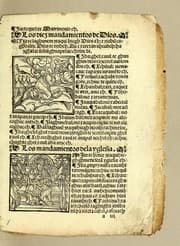 Tapa de [Credo in Deum patre[m] omnipotentem creatorem celi [et] terre.]