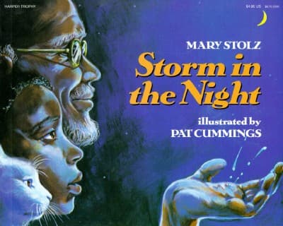 Tapa de Storm In The Night