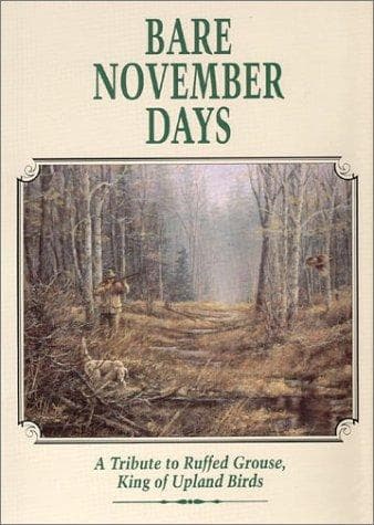 Tapa de Bare November days