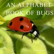 Tapa de An Alphabet Book of Bugs