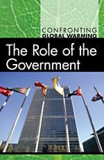 Tapa de The role of the government