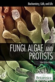 Tapa de Fungi, algae, and protists