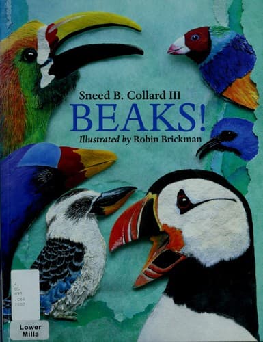 Tapa de Beaks!