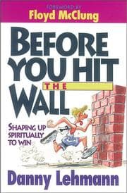 Tapa de Before You Hit the Wall