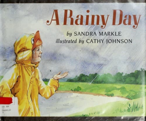 Tapa de A rainy day