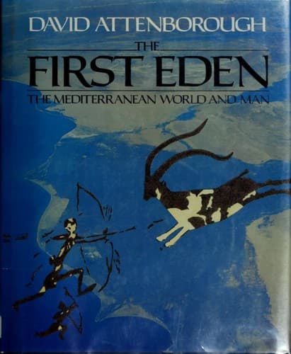 Tapa de The first Eden