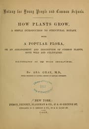 Tapa de Botany for young people and common schools