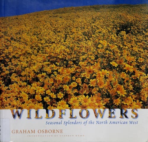 Tapa de Wildflowers