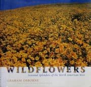 Tapa de Wildflowers