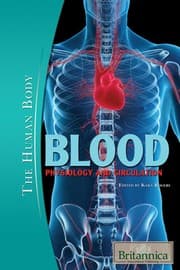 Tapa de Blood
