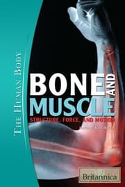 Tapa de Bone and muscle