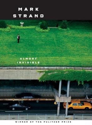 Tapa de Almost invisible