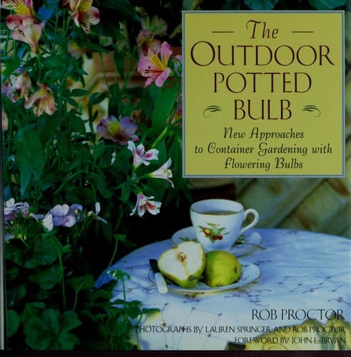 Tapa de The outdoor potted bulb