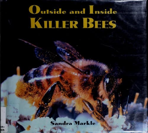 Tapa de Outside and inside killer bees
