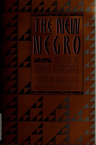 Tapa de The New negro
