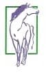 Tapa de Race Horses (Horse Power)