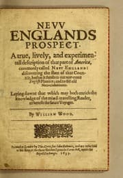 Tapa de Nevv Englands prospect
