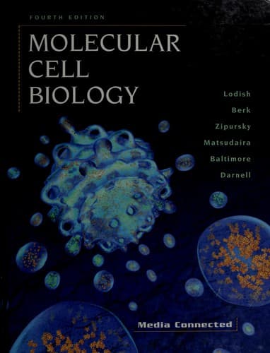 Tapa de Molecular cell biology