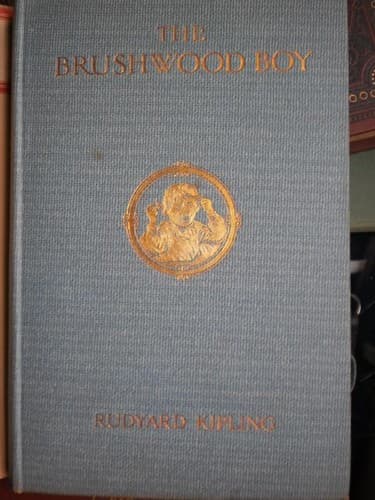 Tapa de The  brushwood boy.