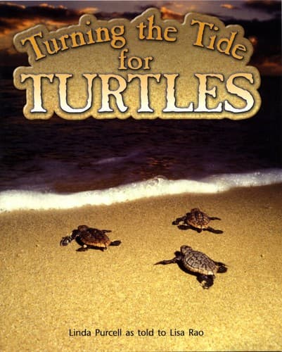 Tapa de Turning the Tide for Turtles