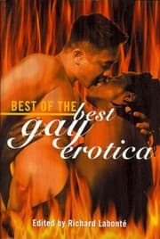 Tapa de Best of the best gay erotica