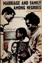 Tapa de Marriage and family among Negroes