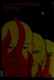 Tapa de Faces in the flames