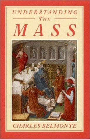 Tapa de Understanding the Mass