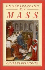 Tapa de Understanding the Mass
