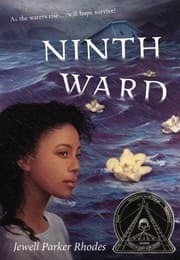 Tapa de Ninth Ward