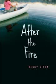 Tapa de After the Fire