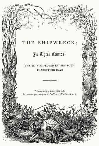 Tapa de The shipwreck