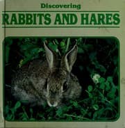 Tapa de Discovering rabbits and hares