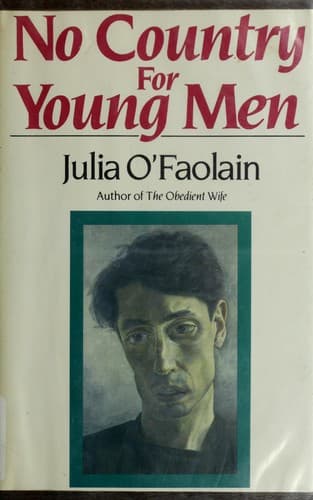 Tapa de No country for young men
