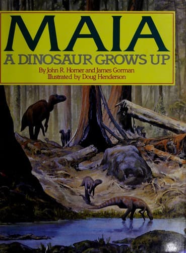 Tapa de Maia