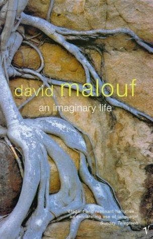 Tapa de An Imaginary Life