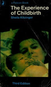 Tapa de The Experience of Childbirth