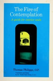 Tapa de The fire of contemplation