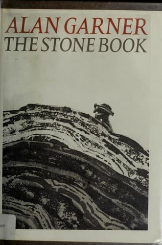 Tapa de The stone book