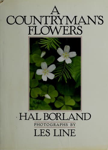 Tapa de A countryman's flowers