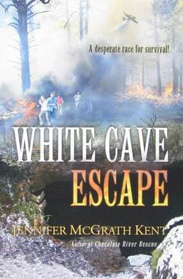 Tapa de White Cave Escape