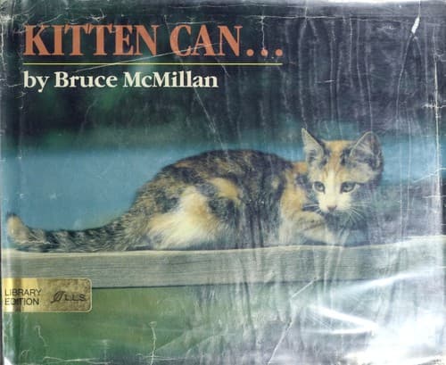 Tapa de Kitten can--