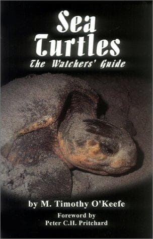 Tapa de Sea turtles