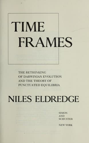 Tapa de Time Frames