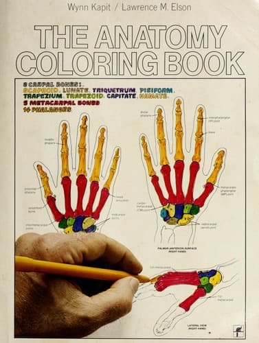 Tapa de Anatomy Coloring Book