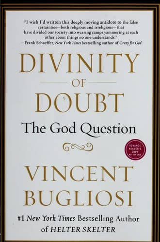 Tapa de Divinity of doubt