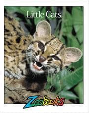 Tapa de Little cats