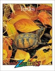 Tapa de Turtles